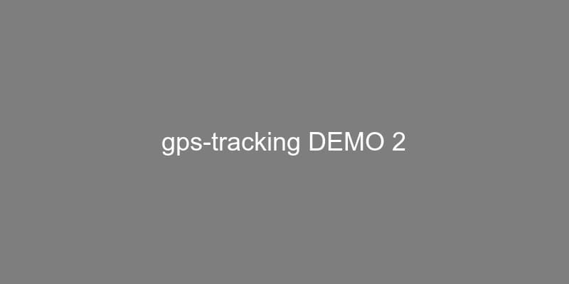 Real-Time GPS Tracking image 2